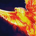 johnathan guzman - @tgelitefire5 - Instagram
