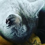johnathan harper wilson - @jd2273a123 - Instagram
