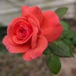 Jonathan Hendrix - @jonathan.hendrix.75 - Instagram
