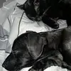 Johnathan Kelly - @johnathan.kelly1 - TikTok