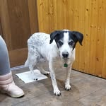 Johnathan King - @johnking2006 - Instagram