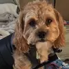 Jonathan King - @kinglawnsolutionsllc - TikTok