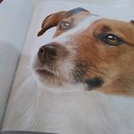 Johnathan maldonado - @that.random.person.207 - Instagram