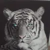 Johnathan Marshall - @johnathanmarshall16 - TikTok
