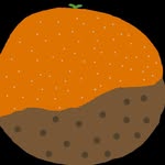 Jonathan Melton - @orangecooki - Instagram