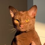 Johnathan - @johnathanmi_chaels - Instagram