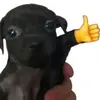 Jonathan Ortega Torres - @jonathanortega971 - TikTok