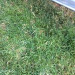 Johnathan owens - @johnathanowens5933 - Instagram