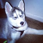 Johnathan Parks - @johnathan_parks - Instagram
