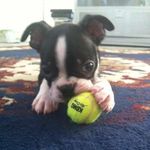 Johnathan Patrick - @johnathan.patrick.9256 - Instagram