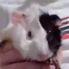 Johnathan Pope - @johnathan.pope - TikTok