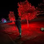 Johnathan richard - @captainbakersfield - Instagram