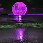 Johnathan Rogers - @johnathan_rogers14 - Instagram