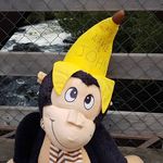 Johnathan Turner-Brook - @the.travelling.monkey - Instagram