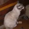 Johnathan Tyler409 - @johnathancl2 - TikTok