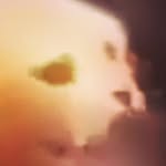 Johnathan Tyler Silvers - @johnathan_tyler_s - Instagram