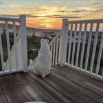Johnathan Wagner - @john_wagner3 - Instagram