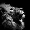 Johnathan Waters215 - @johnathanwaters084 - TikTok