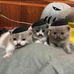 Johnathan Wells - Facebook