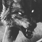 Johnathan Wolf Wilson - Facebook
