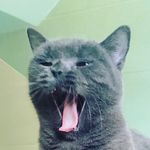Johnathan Wong - @johnathan_wsy_ - Instagram