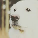Johnathan Wong - @wongjohnathan - Instagram