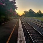 Johnathon Collins - @johnathon_collins6 - Instagram