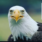 johnathan dean - @johnathan_dean687 - Instagram