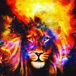 🧙‍♂️🔮🦅🦁 - @johnathon_jay_ - Instagram