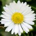 Jonathan Jay - Facebook