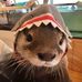 Jonathan Jay - Facebook