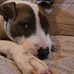 Jonathan Johnston - Facebook
