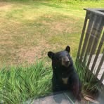 Jonathan Lindsey - Facebook
