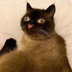 Johnathon Martin - @lowrider487 - Instagram