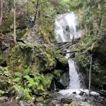 Johnathon Montgomery - @john_montgomery5359 - Instagram