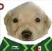 Jonathan Reyes - Facebook