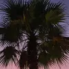 Johnette_Tucker - @johnette_tucker119 - TikTok