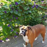 Johnette Metheney Smith - @johnette.m.smith - Instagram