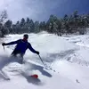 John E Bush - @johnebush - TikTok