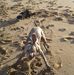 Johnie Jones - Facebook