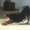 John Oliver_ - @john.oliver52 - TikTok