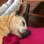 Johnna Barnes-Moore - @jmo122168 - Instagram