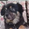Johnna Johnson - @johnna.johnson98 - TikTok