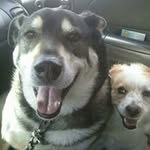 Johnna Miller - @johnna.miller.7161 - Instagram