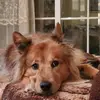 johnnawilson25 - @johnnawilson25 - TikTok