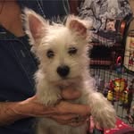 Johnny C. Barfield - @franklinmcdawg - Instagram