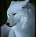 Johnnie Branham - Facebook