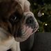 Johnny Braxton - Facebook