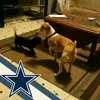 John Brewster - @john.brewster8 - TikTok
