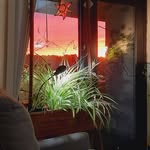 Johnnie Brock - @brockjohnnie - Instagram